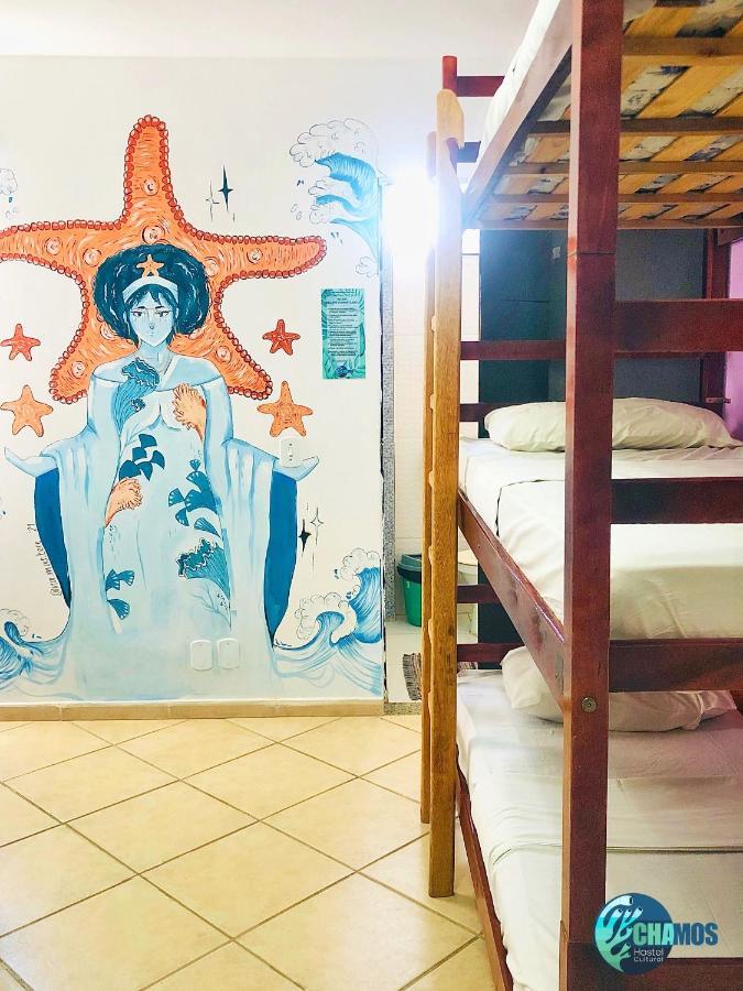 Chamos Hostel Cultural อาร์ไฮยัล โด กาโบ ภายนอก รูปภาพ